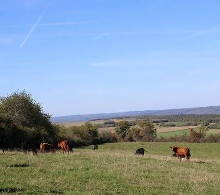 Au Chant Du Coq *
