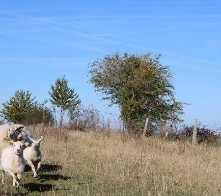 بيت للعطل Au Chant Du Coq *