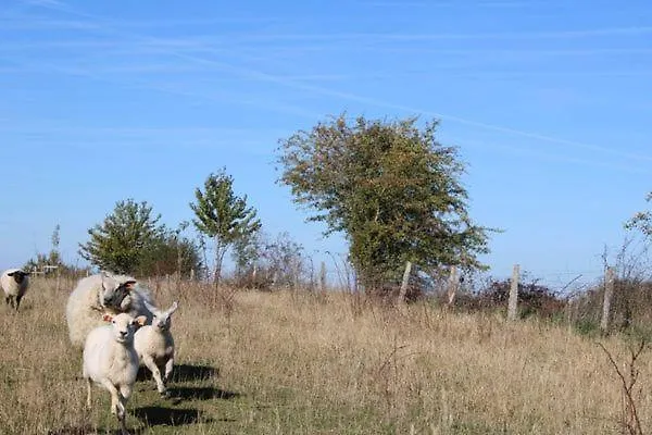 Ferienhaus Au Chant Du Coq *