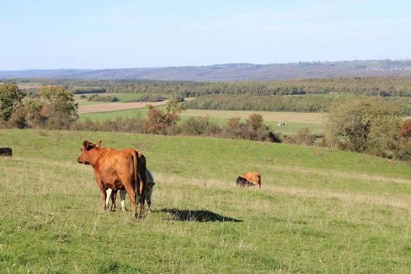 Au Chant Du Coq Ferienhaus *